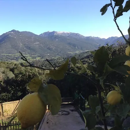 Villa Avec Piscine, Vue Mer Et Montagne A Propriano